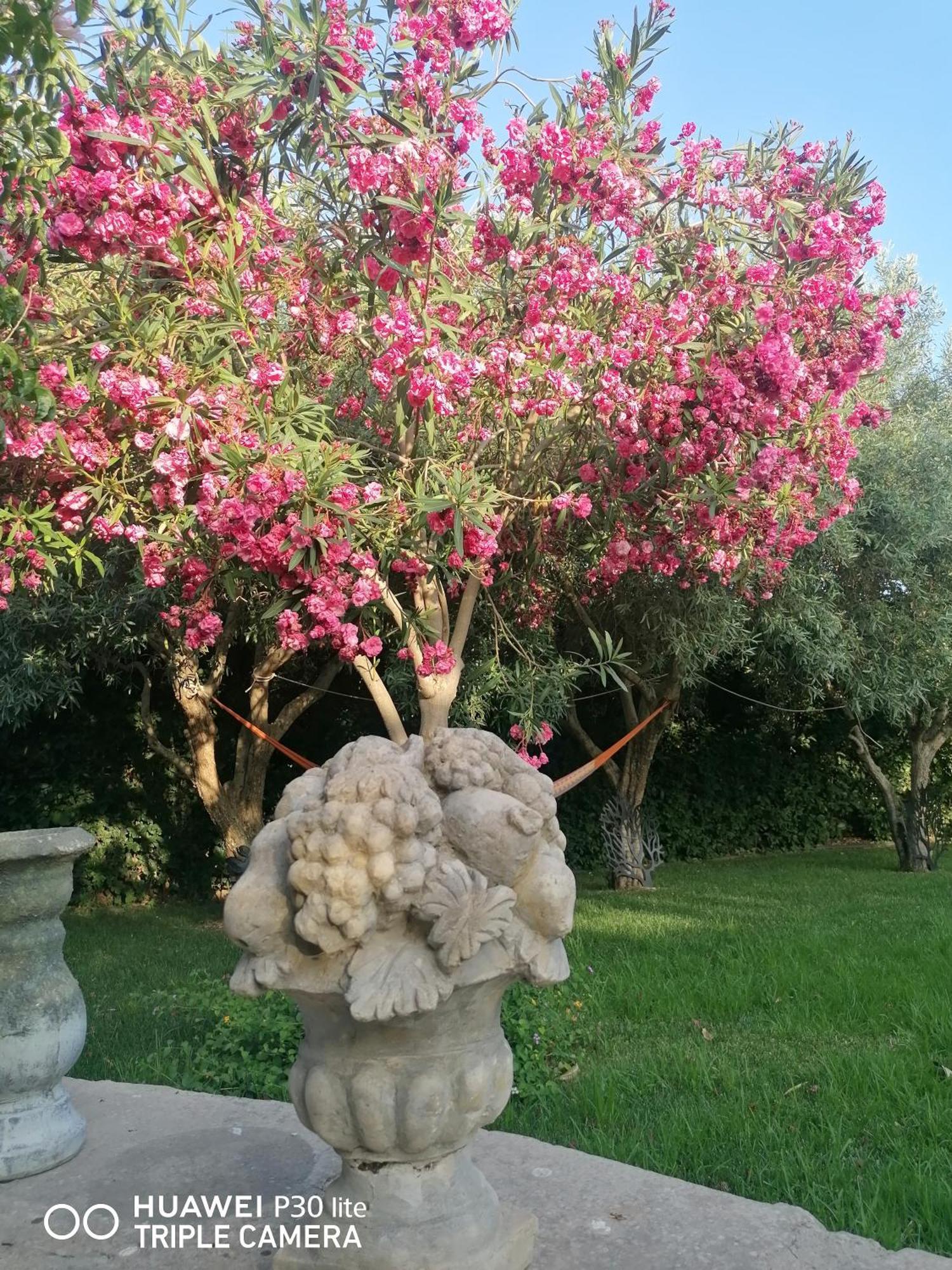 Oasi Di Campagna Hotel Modica Exterior photo